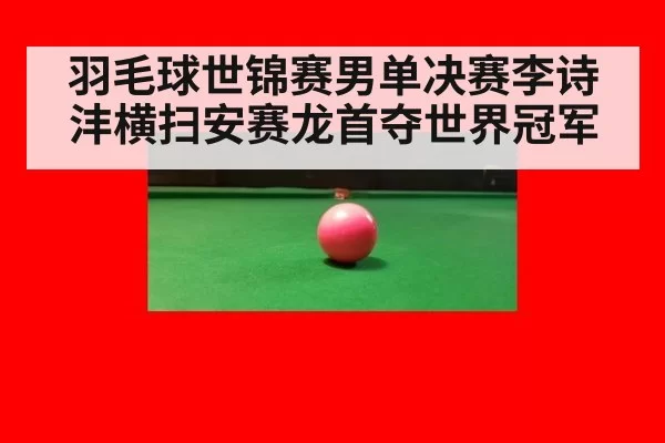 羽毛球世锦赛男单决赛李诗沣横扫安赛龙首夺世界冠军