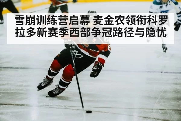 ice hockey player skating